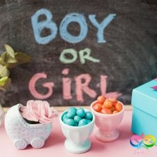 Gender Reveal gallery 5