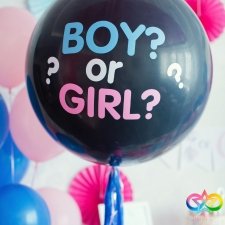 Gender Reveal gallery 6