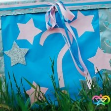 Gender Reveal gallery 8