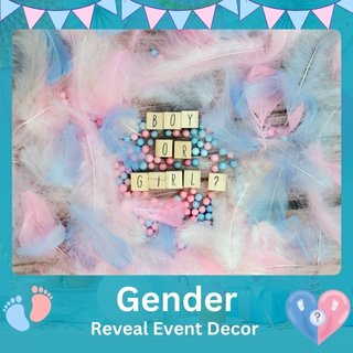 gender reveal decor